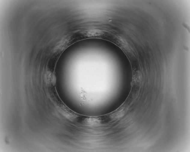 X0000099440327200805091318