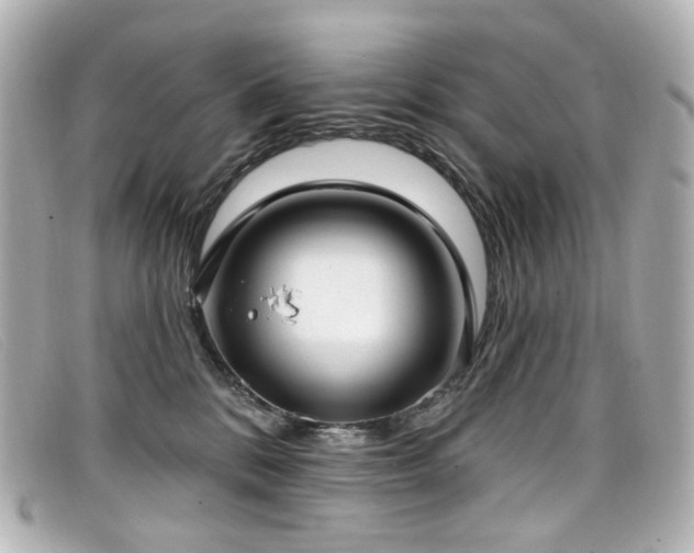 X0000099440328200805091318