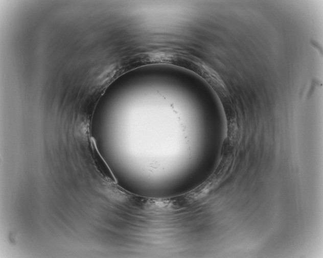 X0000099440329200805091318