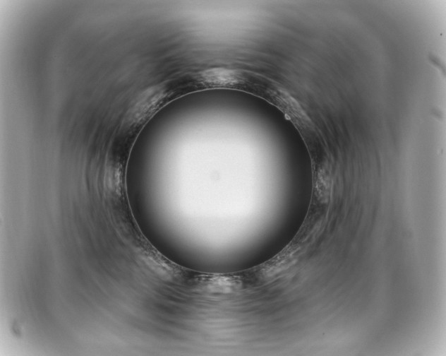 X0000099440330200805091318