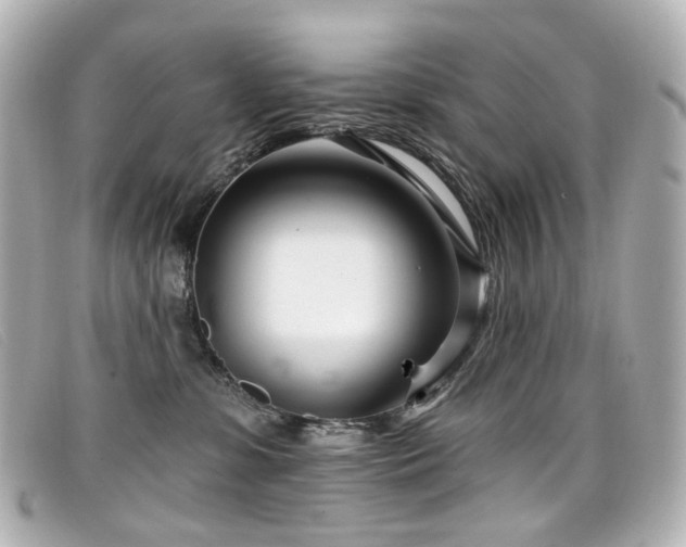 X0000099440331200805091318