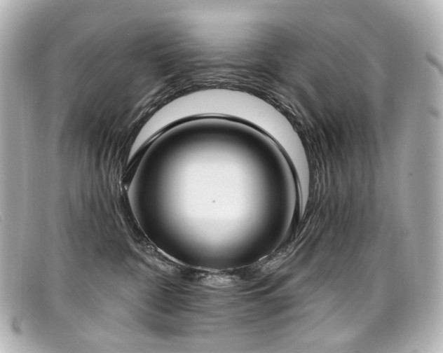 X0000099440332200805091318