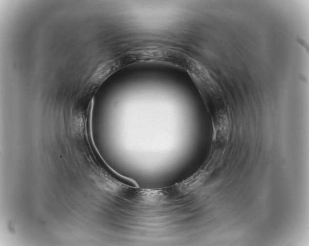 X0000099440333200805091318