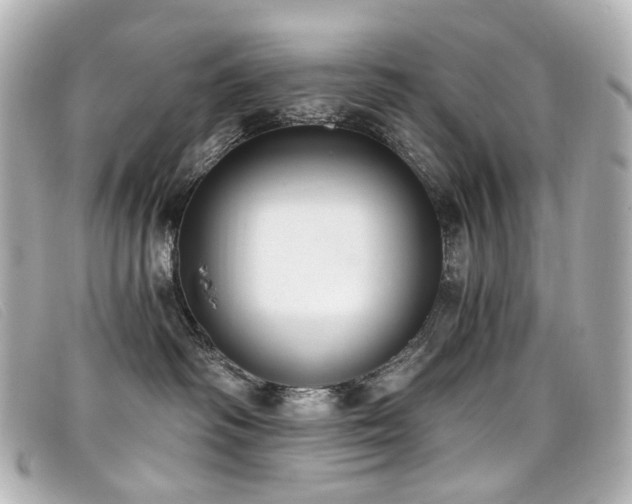 X0000099440334200805091318