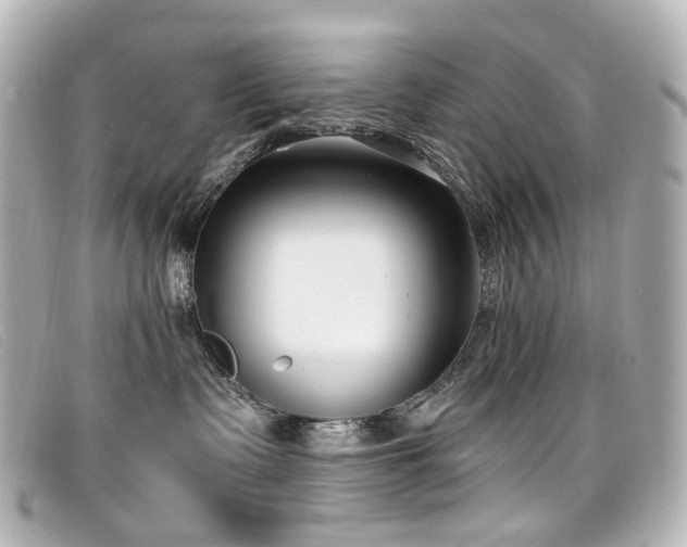 X0000099440335200805091318