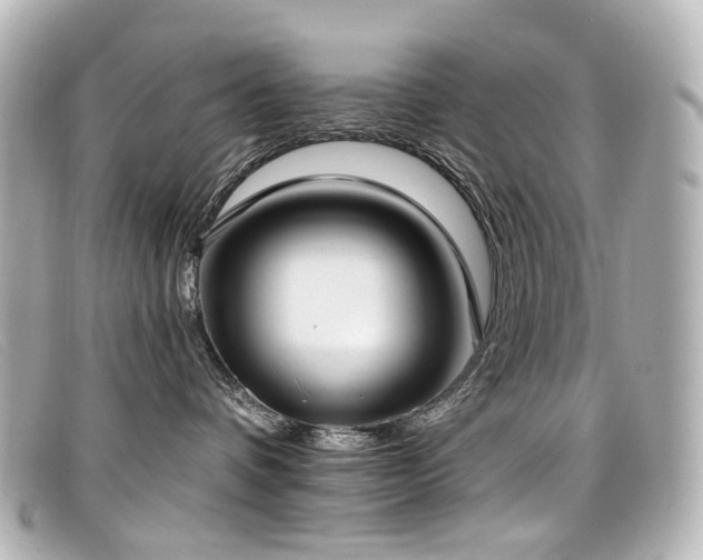 X0000099440336200805091318