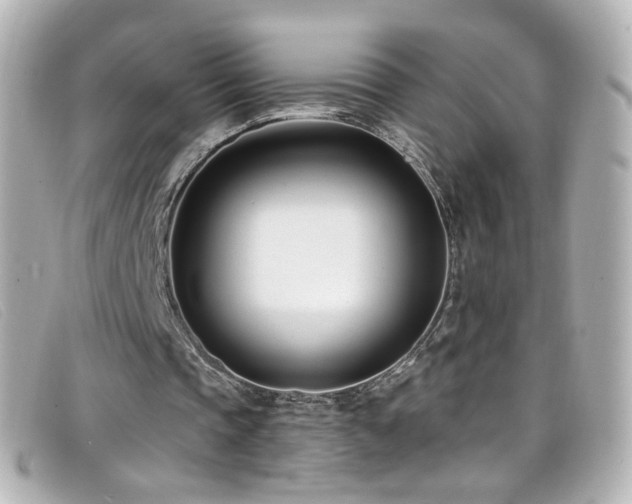X0000099440337200805091317