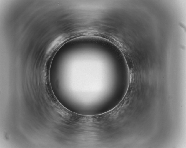 X0000099440339200805091317