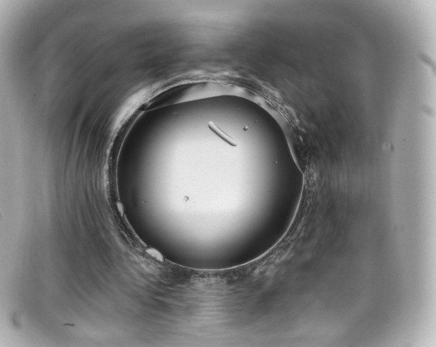 X0000099440340200805091317