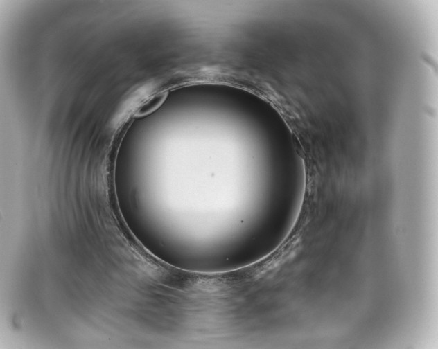 X0000099440341200805091317