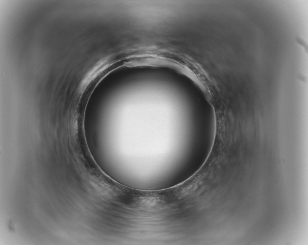 X0000099440344200805091317