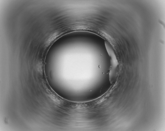 X0000099440345200805091317