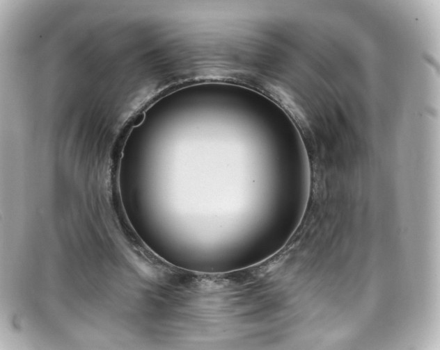 X0000099440346200805091317