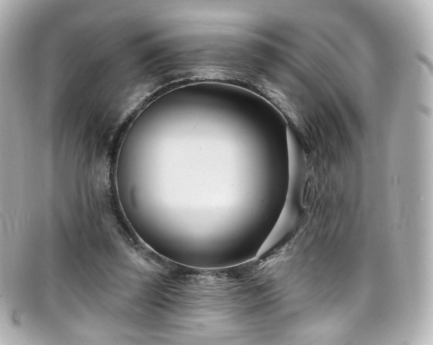 X0000099440347200805091317
