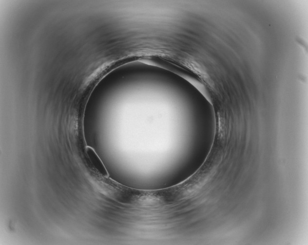 X0000099440348200805091317