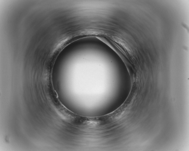 X0000099440352200805091317