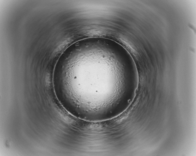X0000099440353200805091317