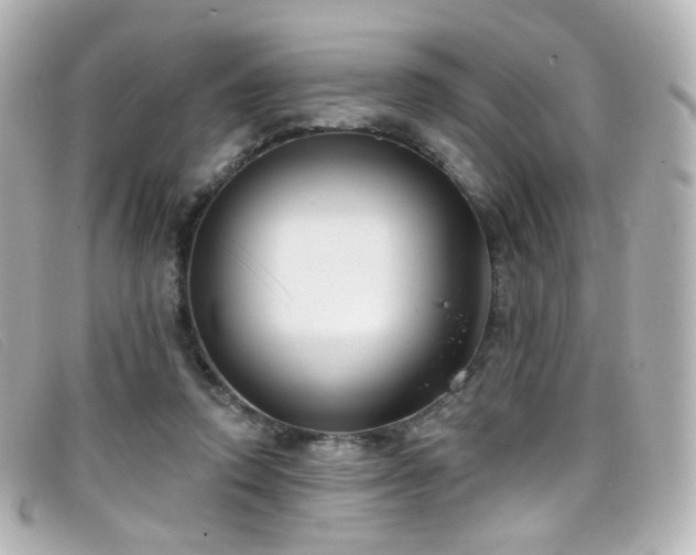 X0000099440354200805091318