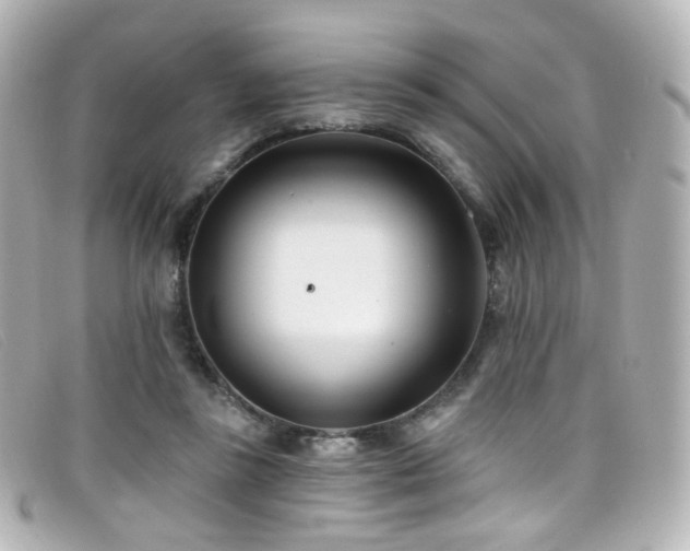 X0000099440355200805091318