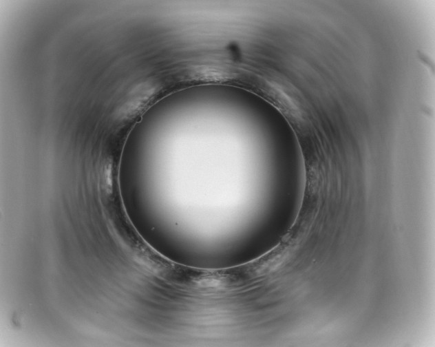 X0000099440358200805091318