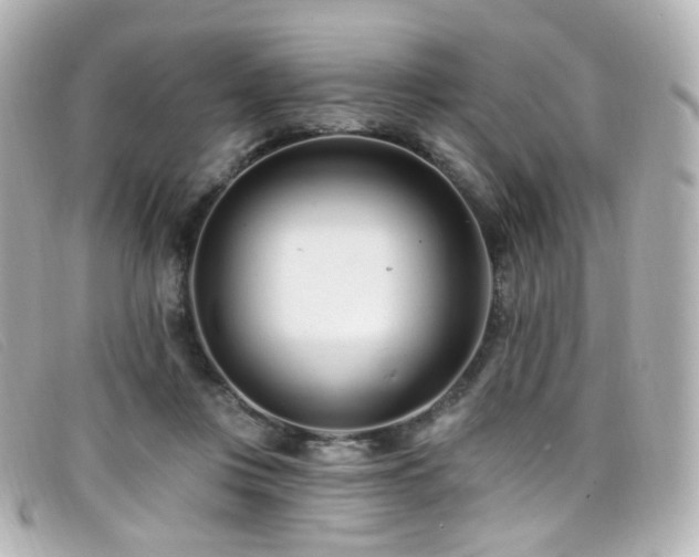 X0000099440359200805091318