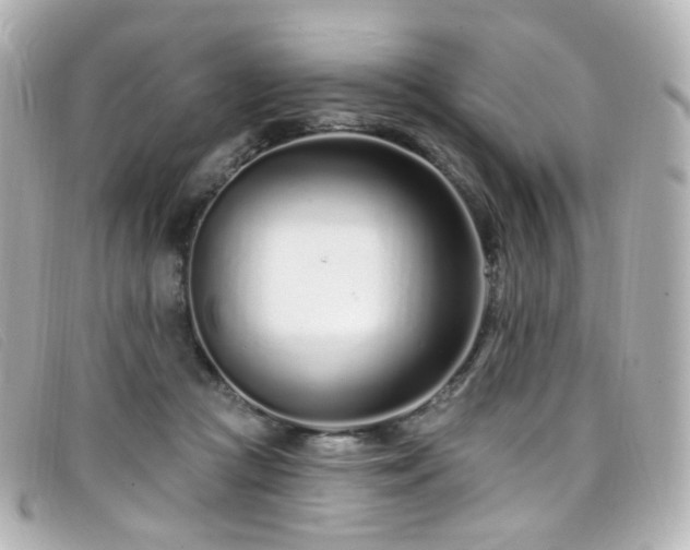X0000099440361200805091318