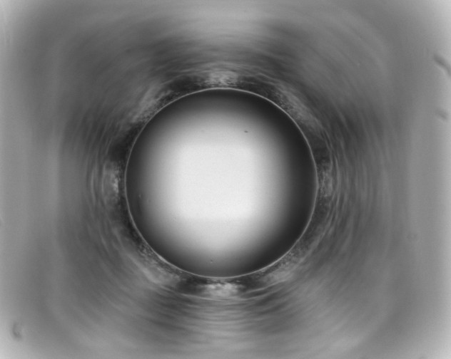 X0000099440363200805091318
