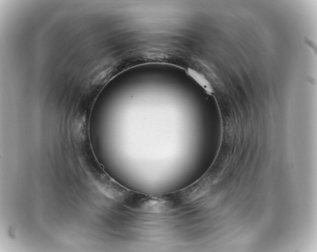 X0000099440364200805091318