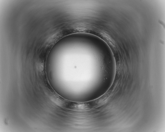 X0000099440365200805091318