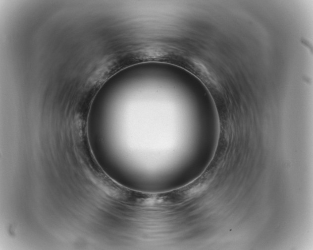 X0000099440366200805091318