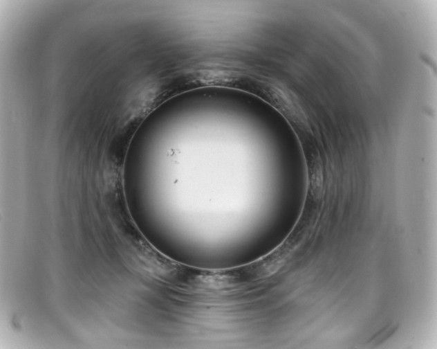 X0000099440367200805091318