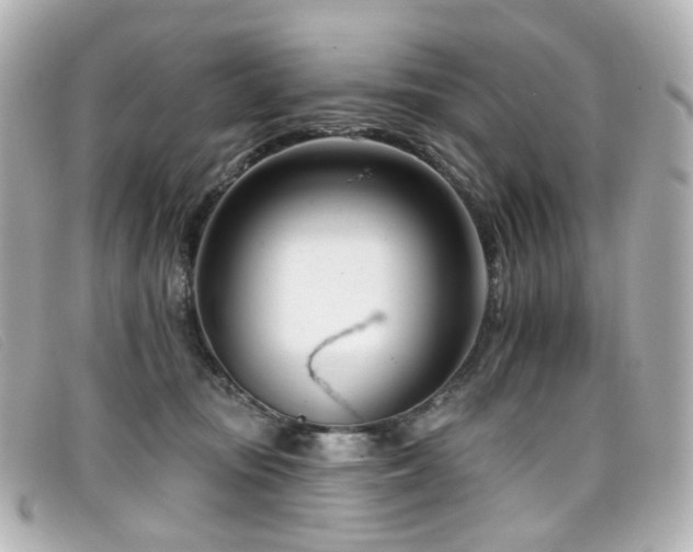 X0000099440371200805091318