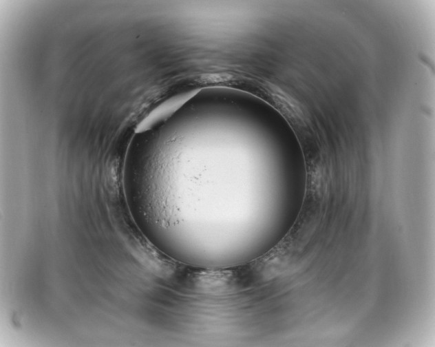 X0000099440373200805091318