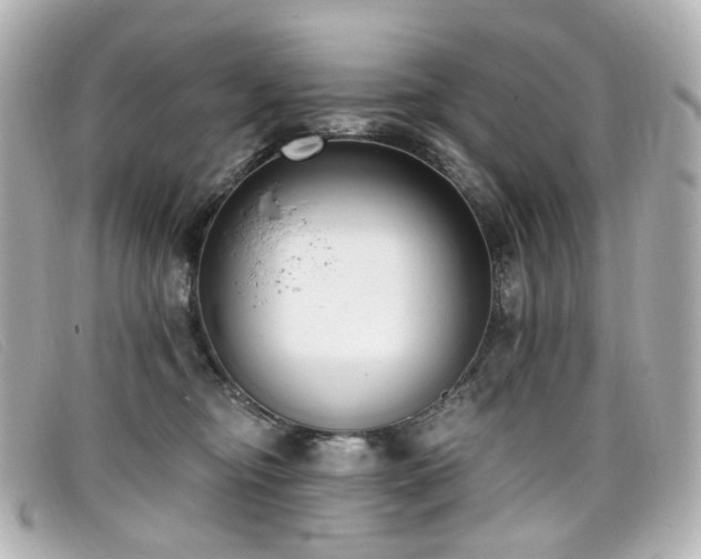 X0000099440374200805091318