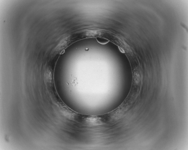 X0000099440375200805091318