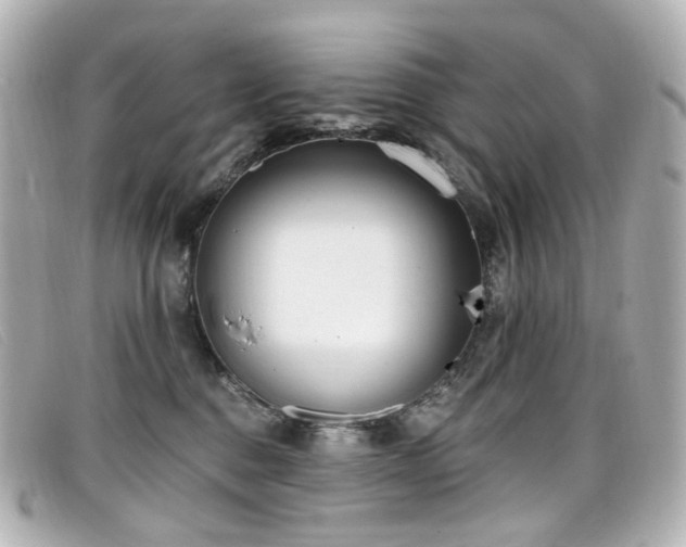 X0000099440376200805091318