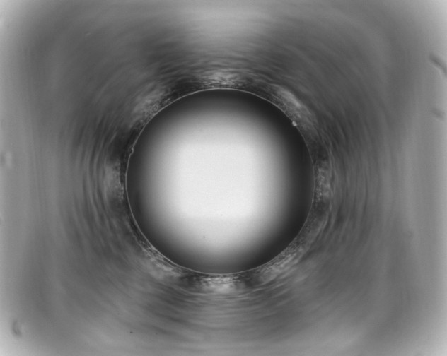 X0000099440377200805091318