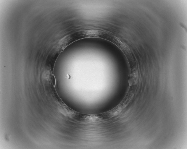 X0000099440379200805091318