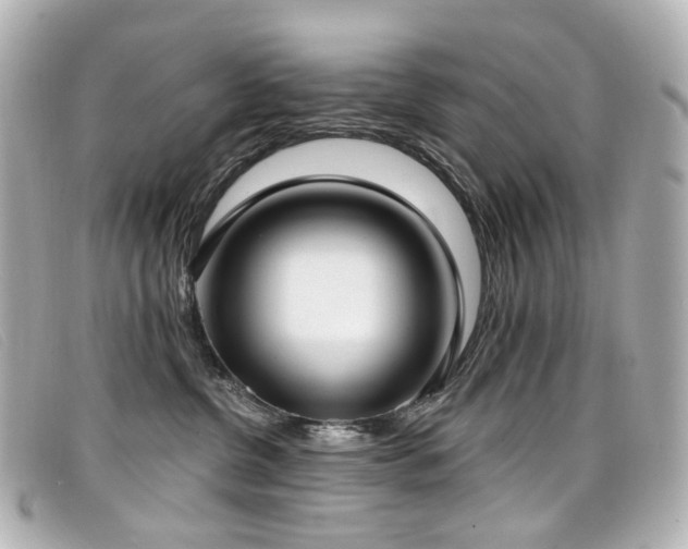 X0000099440380200805091318