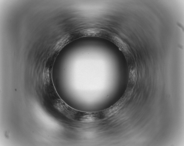 X0000099440381200805091318