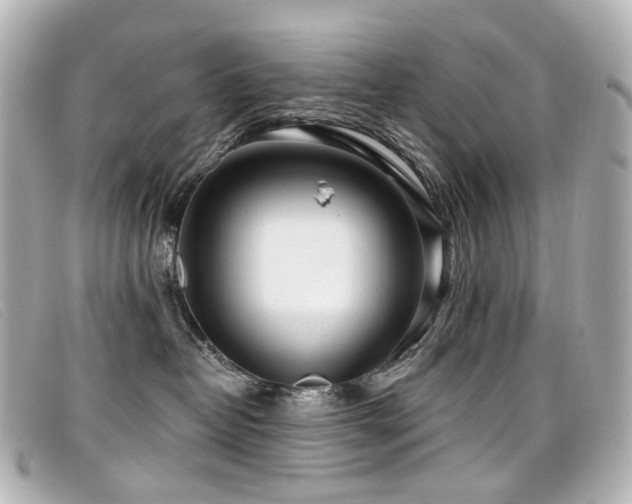 X0000099440382200805091318