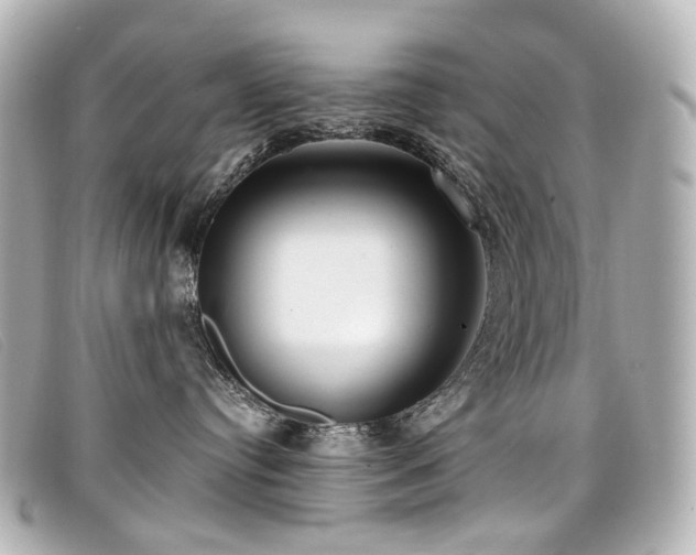 X0000099440384200805091318