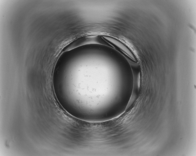 X0000099440385200805091317