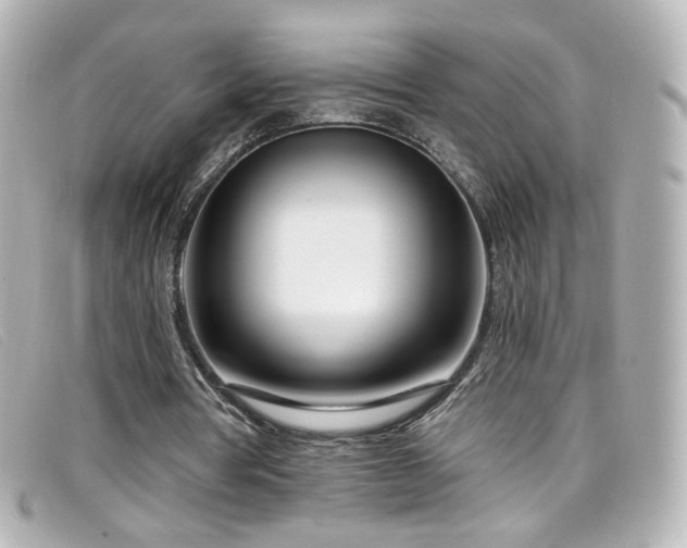 X0000099440386200805091317