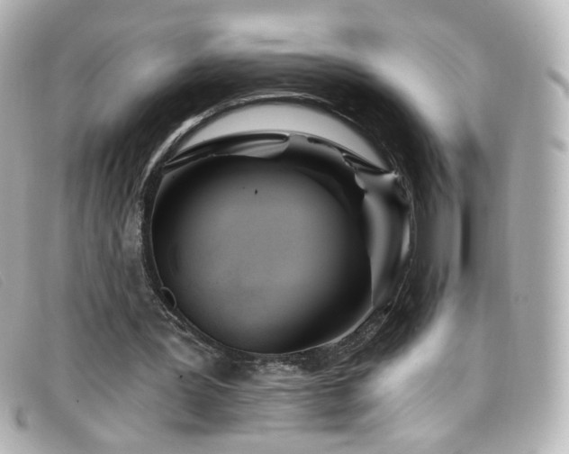 X0000099440387200805091317