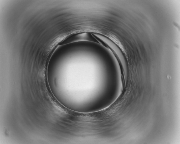 X0000099440389200805091317