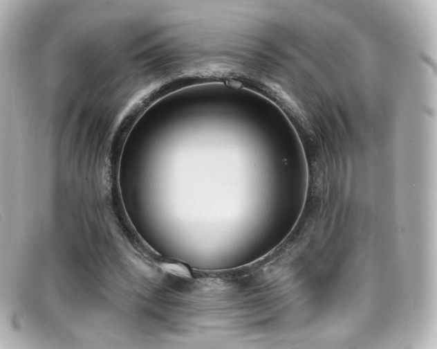 X0000099440392200805091317
