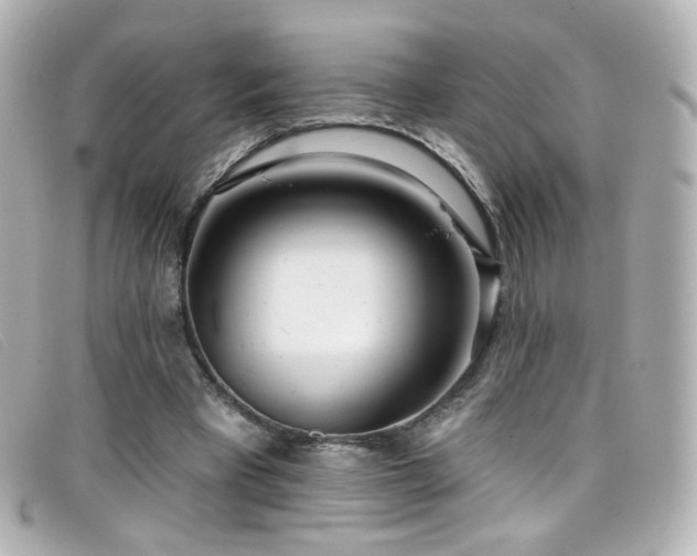 X0000099440393200805091317