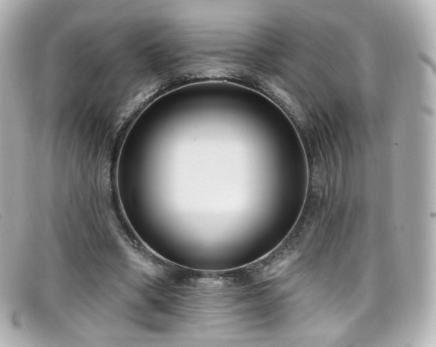 X0000099440394200805091317