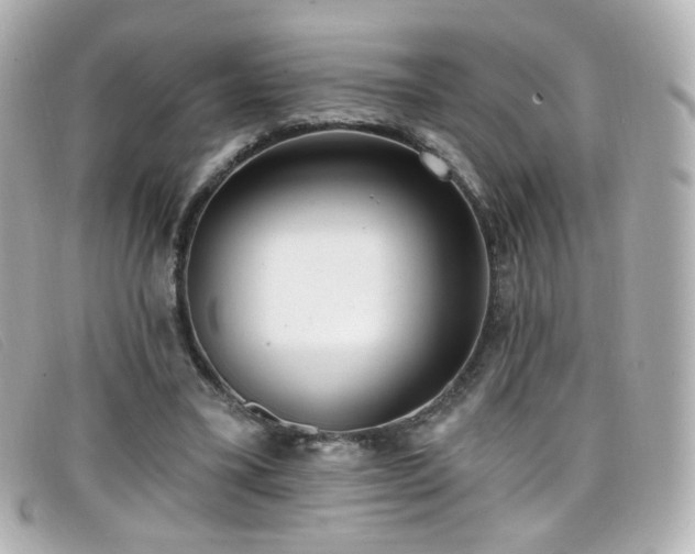 X0000099440395200805091317